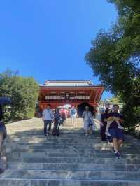 【鎌倉のパワースポット⛩️✨鶴岡八幡宮】