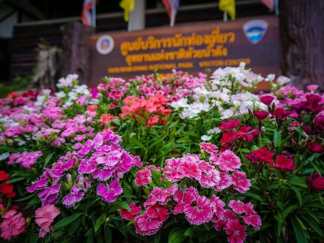 ห้วยน้ำดังงงง