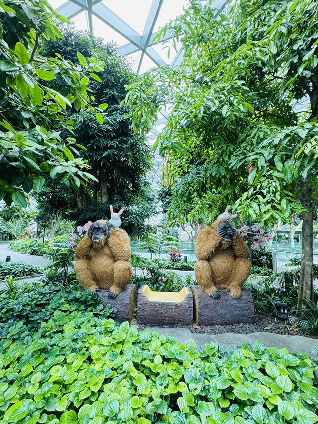 🇸🇬 Canopy Park Topiary Walk