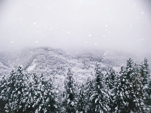 日本🇯🇵岐阜縣 - 漂亮的雪景❄️