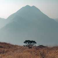 大東山 日落芒草聖地