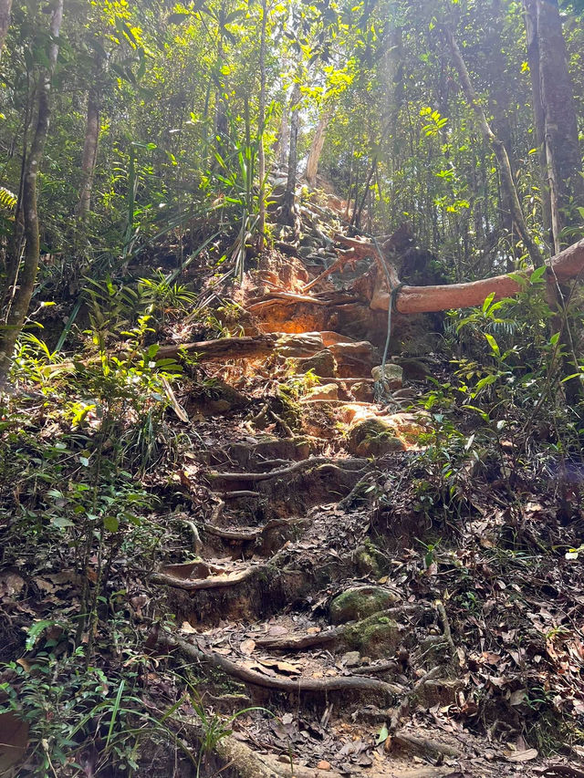 Conquering Mount Santubong: A Local Favorite Hiking Trail in Kuching