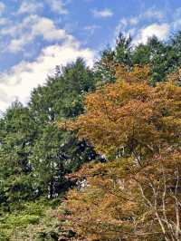 October in Nakatsugawa: A Perfect Autumn Getaway 🍂