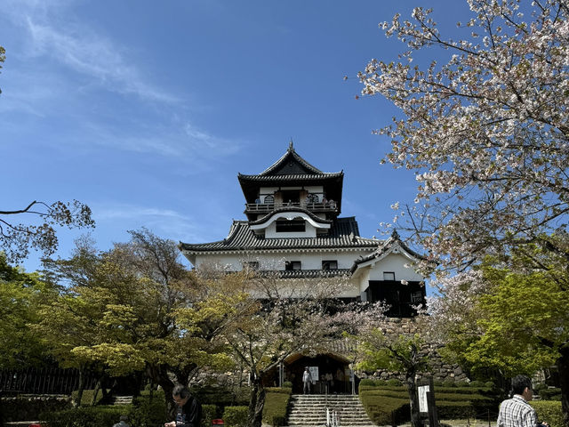 尋找櫻花·名古屋犬山城之旅