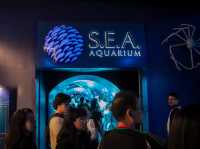 รีวิว S.E.A. Aquarium🇸🇬 