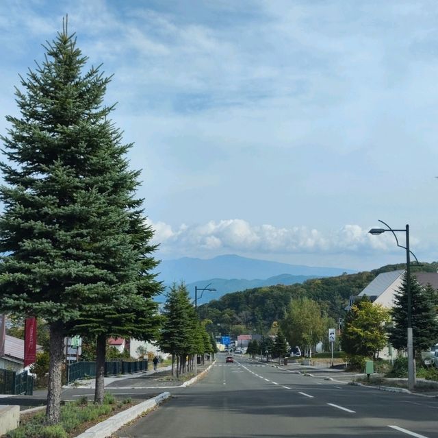 北海道之旅- 富良野富田農場/四季彩之丘