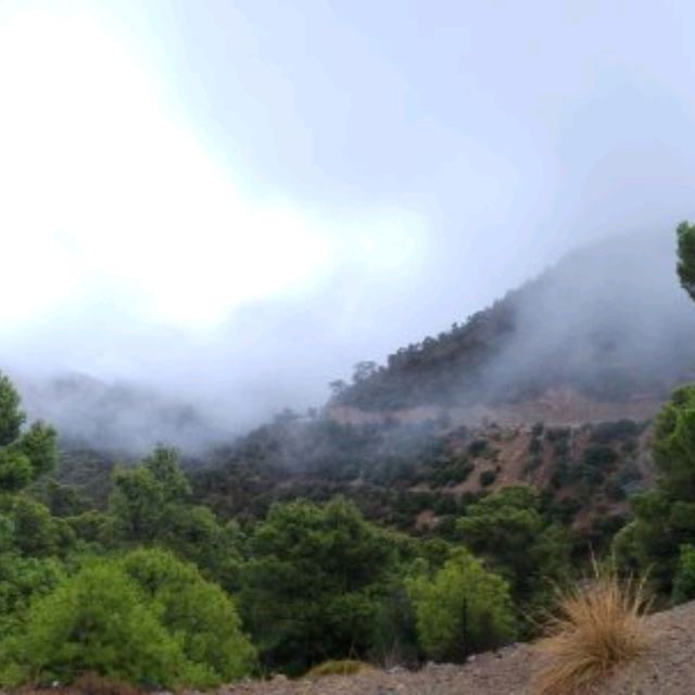 algeria