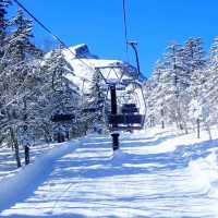  ⛷️ 【黑岳滑雪場】滑雪愛好者x冬季天堂 ❄️
