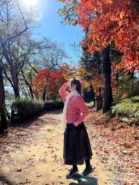 Instagrammable Fall Colors of Nami Island 🇰🇷
