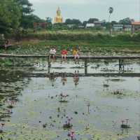 บ้านพาทิศ