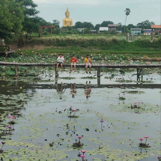 บ้านพาทิศ