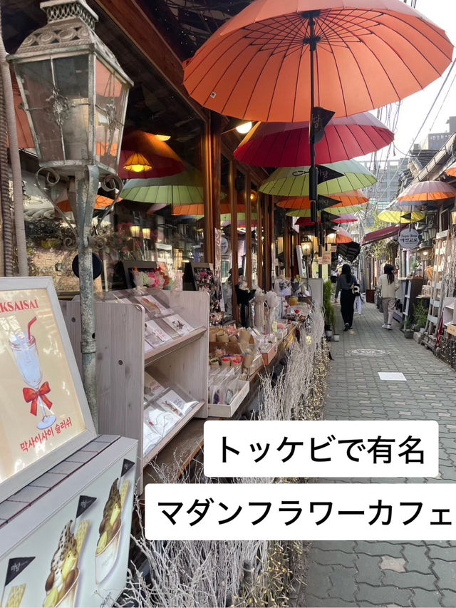 【ソウル🇰🇷 益善洞】映えすぎる韓屋村❤️カフェと散策がおすすめ