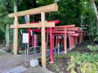 【山梨県】原生林に囲まれた金運神社
