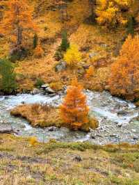 Breathtaking Spring in Switzerland 🌸🇨🇭