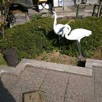 【石川】加賀の自然美を満喫する「こおろぎ橋」