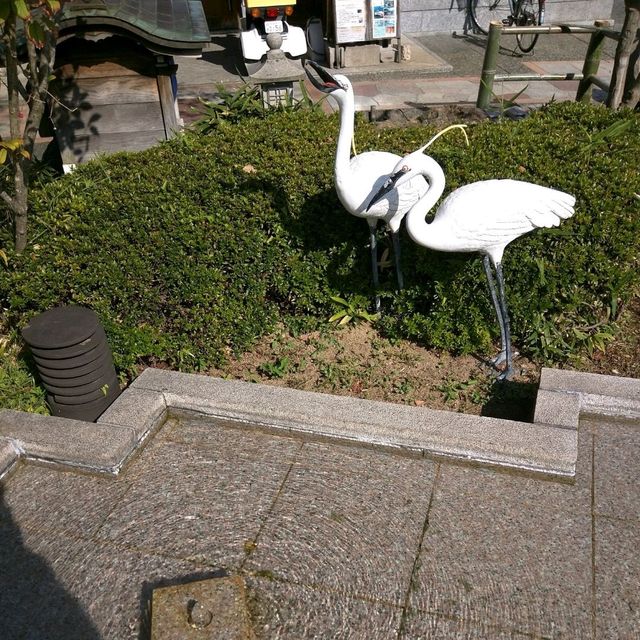【石川】加賀の自然美を満喫する「こおろぎ橋」