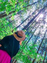 【長野】エメラルドグリーンに輝く阿寺渓谷🏞️✨