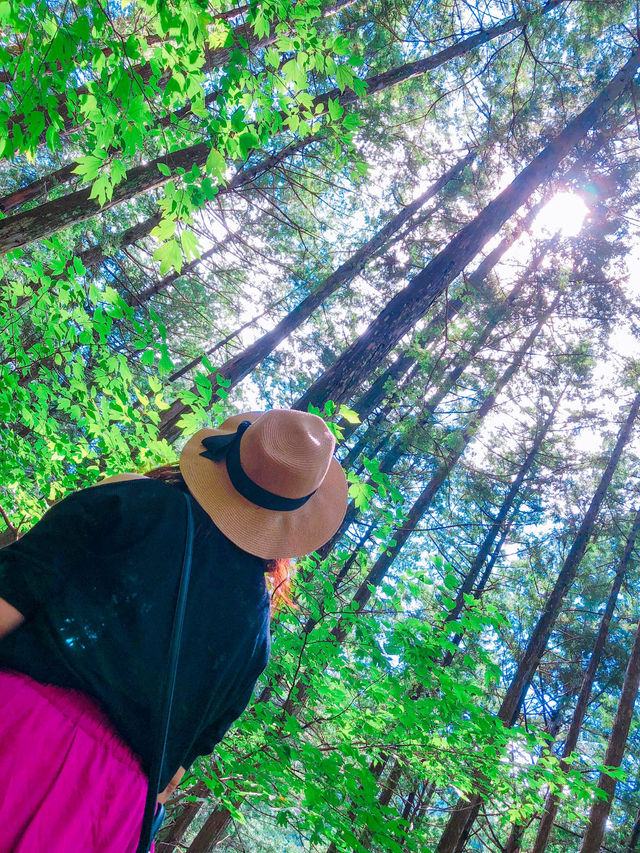 【長野】エメラルドグリーンに輝く阿寺渓谷🏞️✨