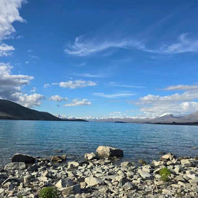 紐西蘭南島Lake Tekapo ～好美