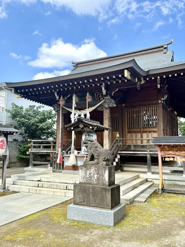 【東京都】存在感ある樹齢900年の欅