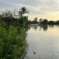 Unwind and Explore: The Hidden Oasis of Chatuchak Park