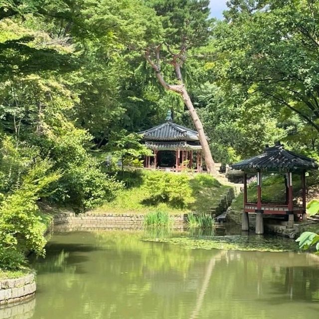 探索昌德宮的秘境：隱藏在繁華中的靜謐花園