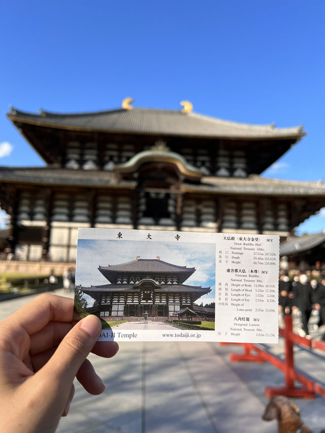 日本獨旅18天Day11 奈良