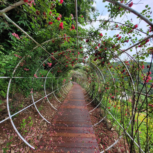 首爾打卡好去處 — 小法國村✨