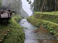 Alishan's Dawn to Dusk Magic
