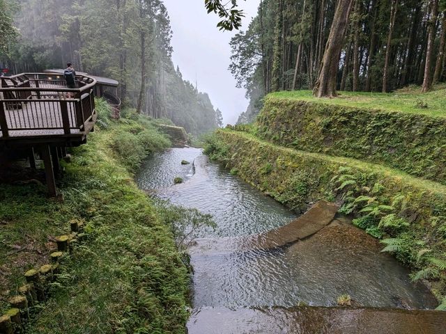 Alishan's Dawn to Dusk Magic
