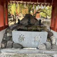 Sensoji Temple • Tokyo 🇯🇵 Japan