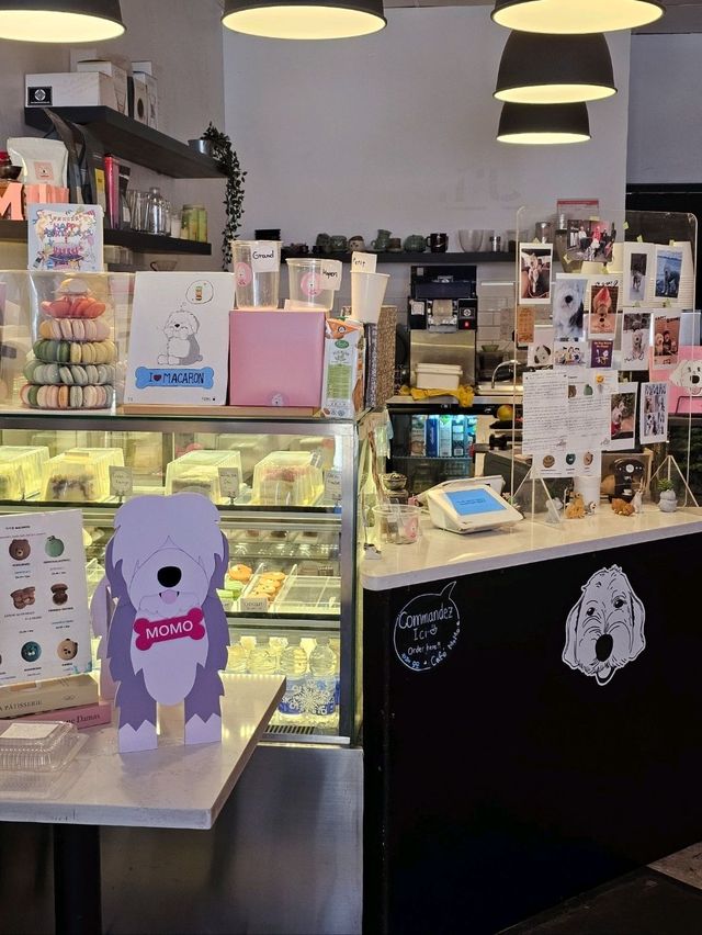 🇨🇦 캐나다 몬트리올 한국식 카페 Cafe Momo