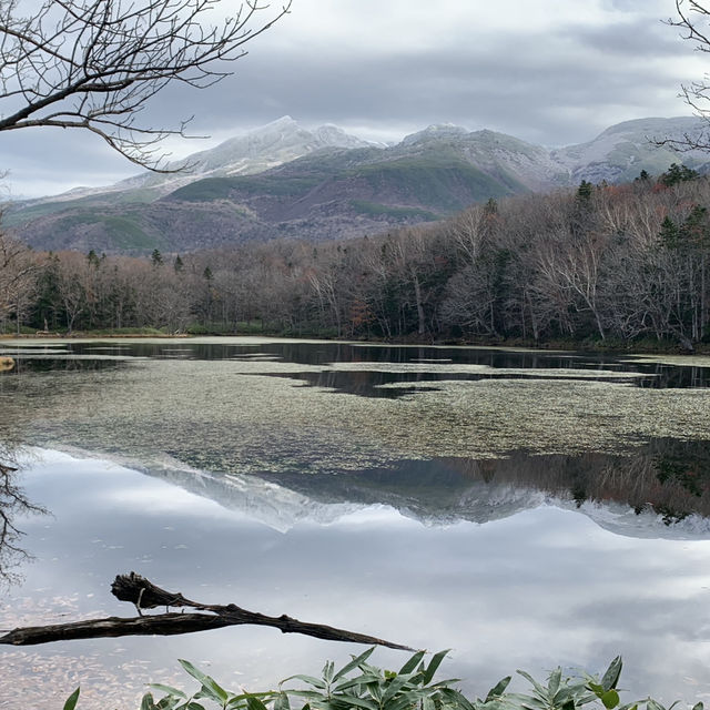 Rewarding sights at Shiretoko Five Lakes morning walk late autumn