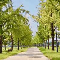 Refreshing escape at Gangcheonseom island