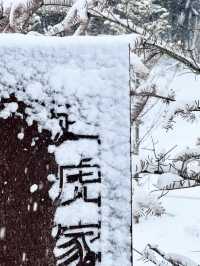 ☃️ 포근한 겨울 감성의 🩵강원도 눈꽃 겨울여행지 추천 🩵
