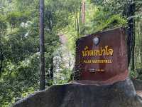 ปาจ๋า ปาโจ