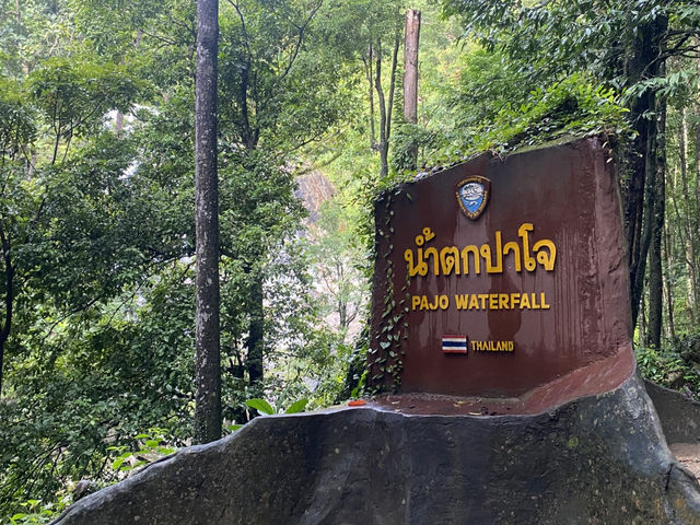 ปาจ๋า ปาโจ