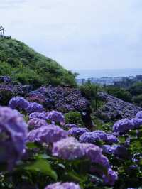名古屋一日遊：花海＋溫泉