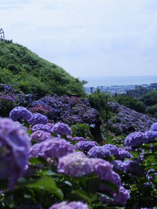 名古屋一日遊：花海＋溫泉