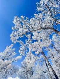 雪域仙境：漫步阿爾山白狼峰的冬日奇遇