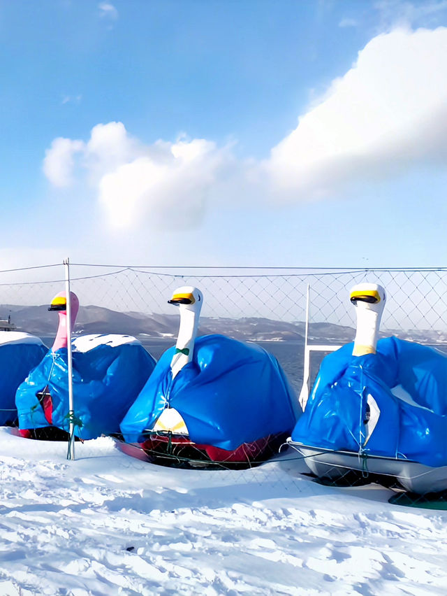 【北海道:洞爺湖】冬を楽しめる洞爺湖！