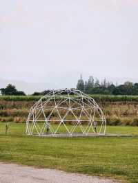 The Camping Field Cafe'