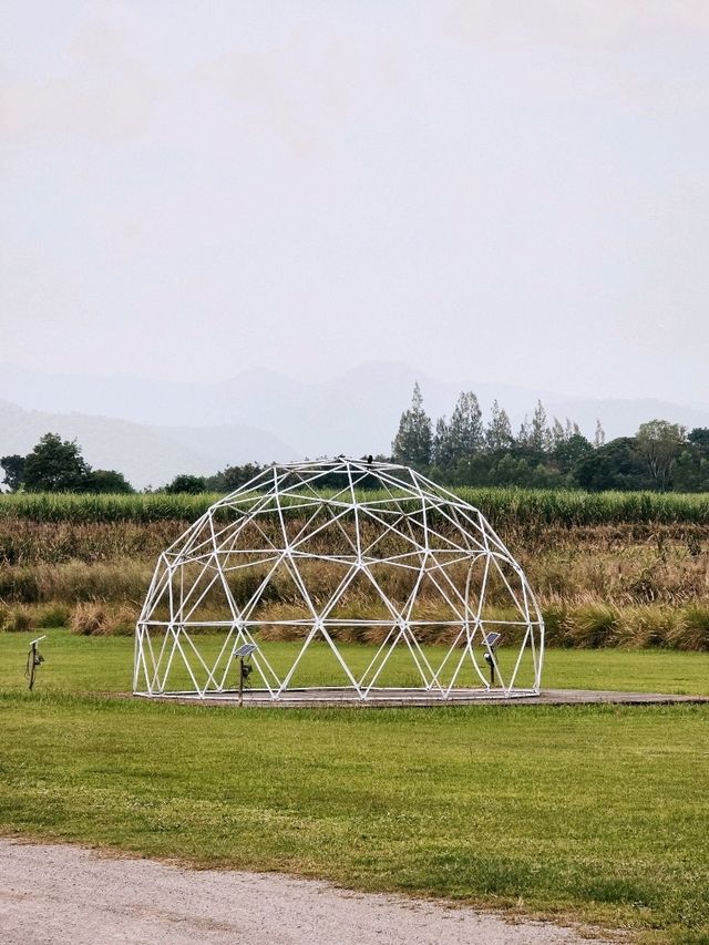 The Camping Field Cafe'