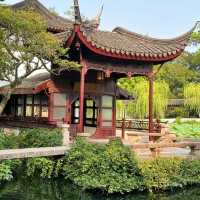 中山仙踪龍園🐉秋色的夢境！🍂🏞️