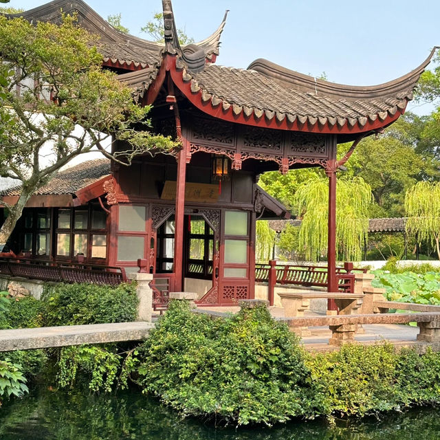 中山仙踪龍園🐉秋色的夢境！🍂🏞️