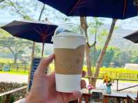  คาเฟ่บรรยากาศอบอุ่นสไตล์ไม้