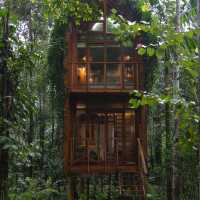 Mood ดี บรรยากาศสุดใจฟู 🏠🌴🍃