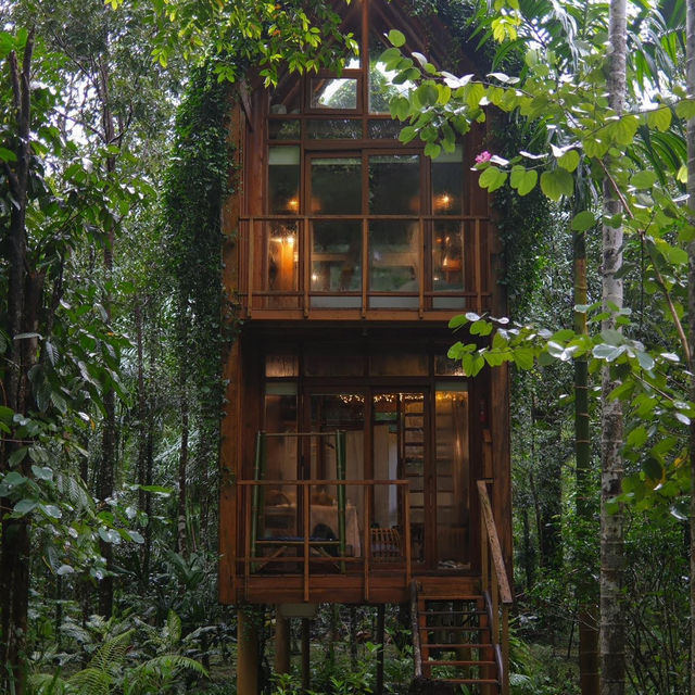 Mood ดี บรรยากาศสุดใจฟู 🏠🌴🍃
