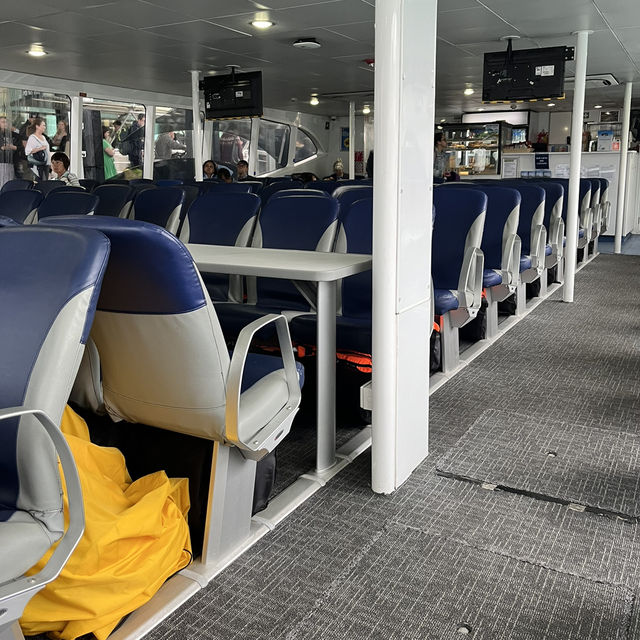 【NZ】クルーズ船でデポンポートへ🚢