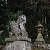 大歲神社📝清幽靜謐⛩️🌲
